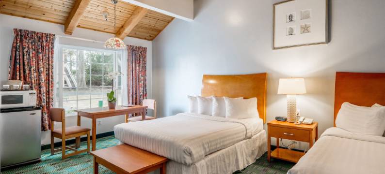 蝴蝶格罗夫旅馆(Butterfly Grove Inn)图片