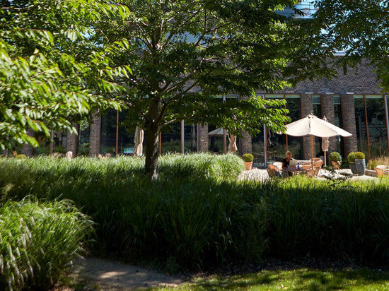 夏洛特避风港酒店