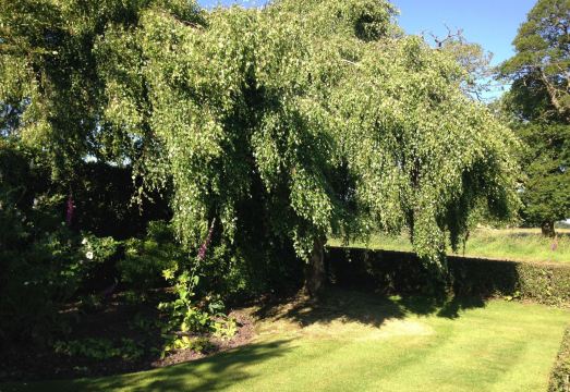 Marsh FarmHotel Overview