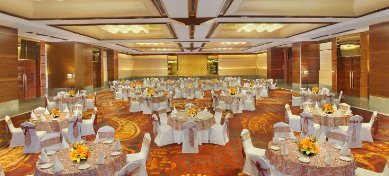 查漠丽笙酒店(Radisson Blu Jammu)图片