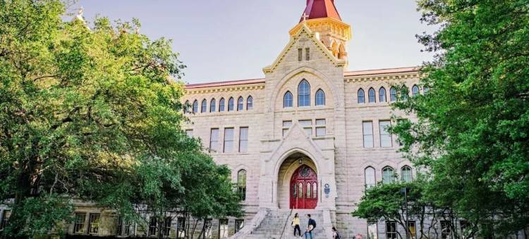 温德姆花园酒店-奥斯汀(Wyndham Garden Austin)图片