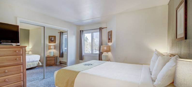 2卧室/2浴室公寓在班车路线 - 野爱尔兰人1015 - 游泳池和更多！(2Br/2BA Condo on Shuttle Route - Wild Irishman 1015 - Pool & More!)图片