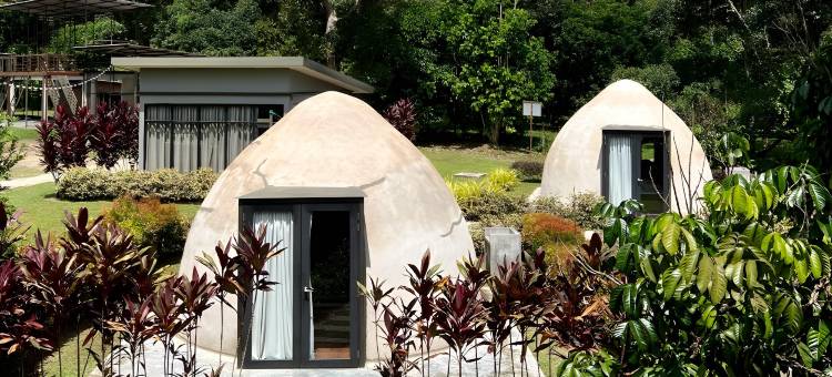 马六甲乐园-第31号生态果园(Play at Lot 31 Eco Orchard Melaka)图片