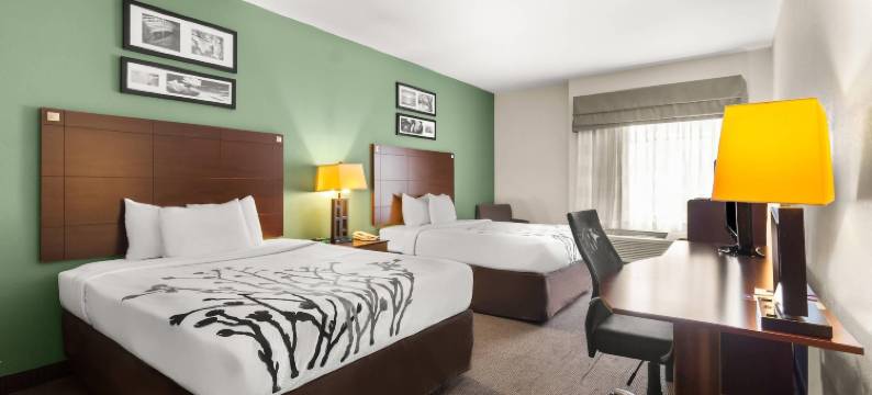 洲际机场东舒眠套房酒店(Sleep Inn & Suites Bush InterContinental - IAH East)图片