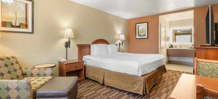 沙漠清风贝斯特韦斯特酒店(Best Western Desert Winds)图片