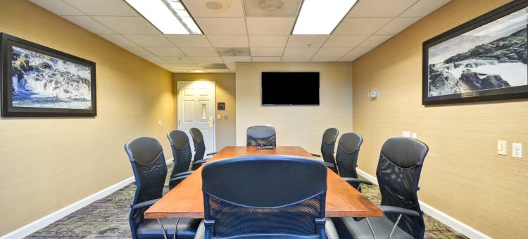 杜勒斯国际机场Homewood酒店(Homewood Suites by Hilton - Dulles Int'l. Airport)图片