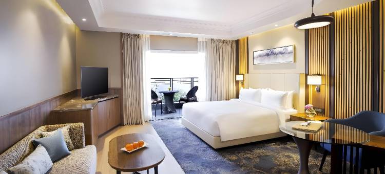 达拉姆沙拉丽笙度假酒店(Radisson Blu Resort Dharamshala)图片