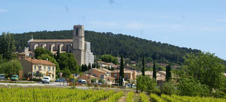 Villa in Provence with Pool and Vineyard Views图片