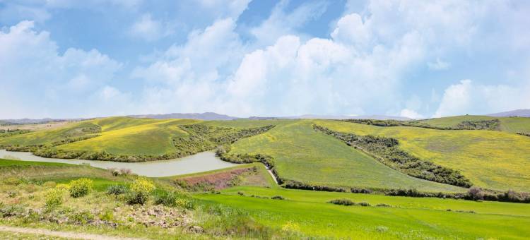 Apartment in Peccioli with Pool and Wine Tasting图片