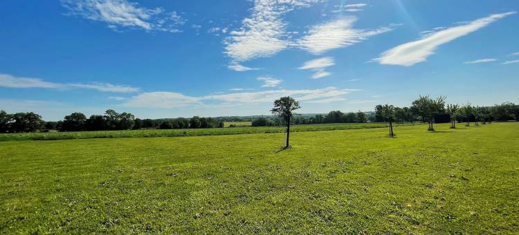 拉佩蒂特费利克斯("La Petite Félixière" à 25 Min du Puy du Foù, 10 Min de Cholet, et 35 Min de Nantes)图片