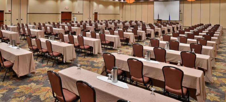 史蒂文斯角假日酒店 - 会议中心(Holiday Inn STEVENS POINT - CONVENTION CTR by IHG)图片