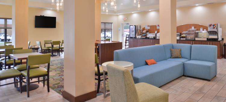 智选假日套房酒店-迪尔伯恩西南/底特律地区(Holiday Inn Express & Suites Dearborn SW - Detroit Area)图片