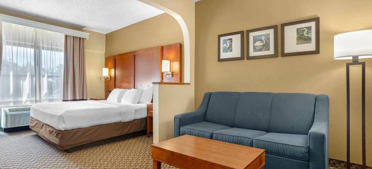 舒适套房酒店-塔拉哈西市区(Comfort Suites Tallahassee Downtown)图片
