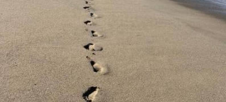 半月湾米拉玛海滩海滨酒店(The Oceanfront Hotel on MiramarBeach Hmb)图片