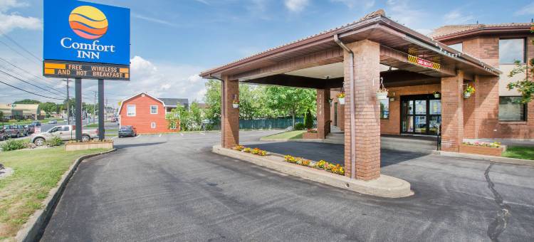 巴瑟斯特舒适酒店(Comfort Inn)图片