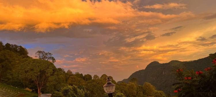 芬兰小屋和套房(Finland cottages and suites)图片