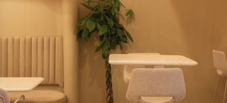 OPERA精品酒店(Boutique Hotel Opera)图片