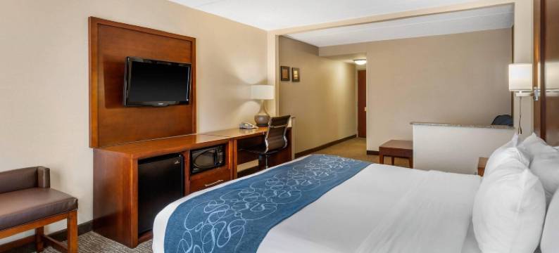 曼纳萨斯战场公园舒适套房酒店(Comfort Suites Manassas Battlefield Park)图片