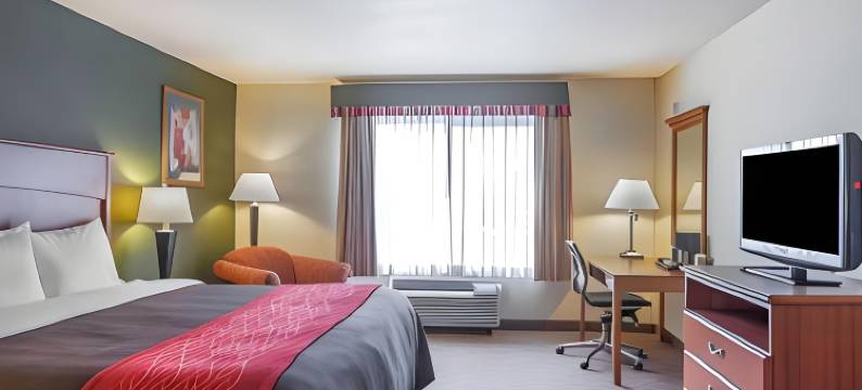 舒适套房酒店(Comfort Inn & Suites Salem)图片