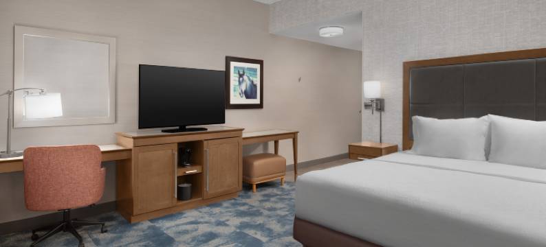 巴尔的摩北-蒂莫尼姆欢朋套房酒店(Hampton Inn & Suites Baltimore North/Timonium, MD)图片