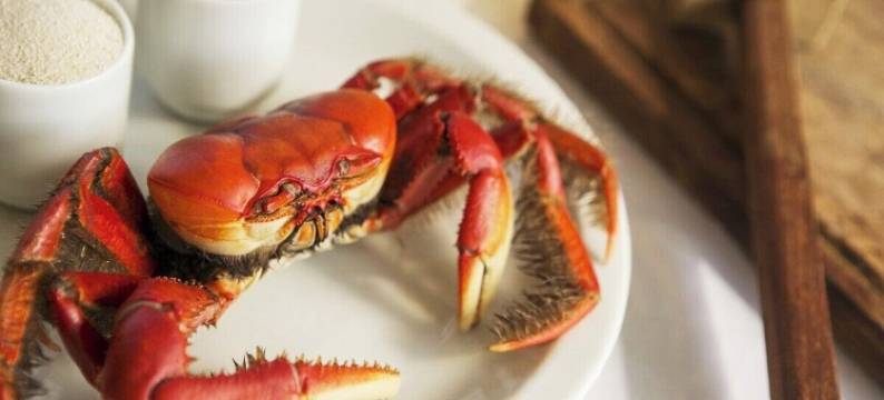 黑色集装箱(Container Black)图片