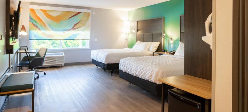 Tru By Hilton 卡拉马祖(Tru by Hilton Kalamazoo)图片