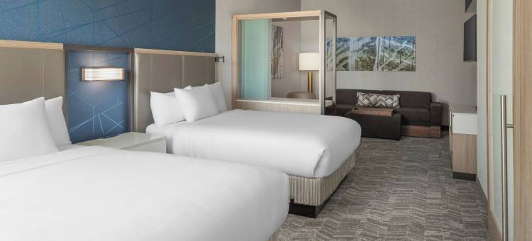 罗利加纳 SpringHill Suites 酒店(SpringHill Suites Raleigh Garner)图片