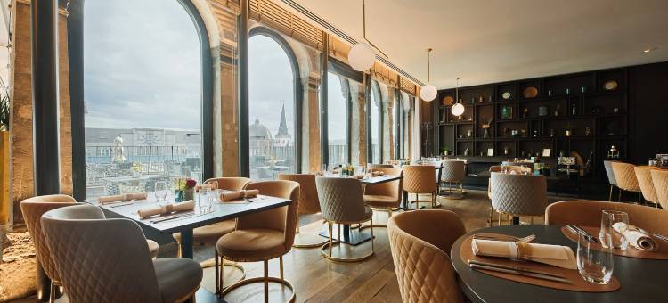 乐康姆特德敏酒店(Van der Valk Sélys Liège Hotel & Spa)图片