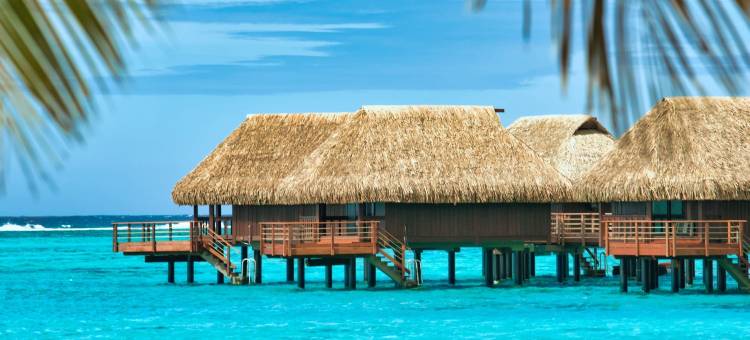 索菲特起亚索菲特奥拉莫雷阿岛海滩度假酒店(Sofitel Kia Ora Moorea Beach Resort)图片