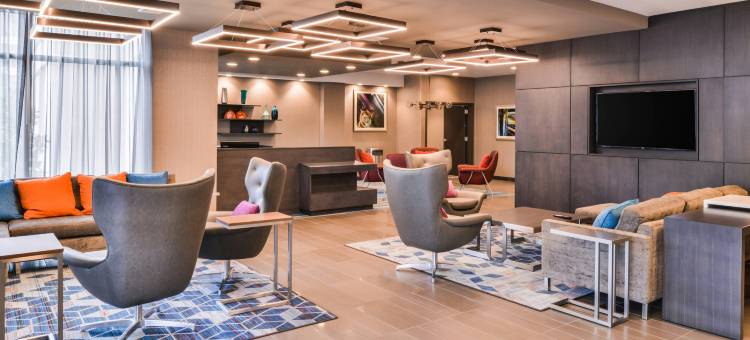 罗利卡瑞万枫酒店及套房(Fairfield Inn & Suites Raleigh Cary)图片