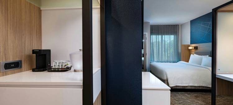 Marriott Austin North的SpringHill套房(SpringHill Suites by Marriott Austin North)图片