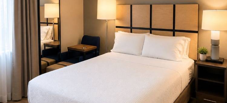 Candlewood Suites 温莎锁布拉德利ARPT(Candlewood Suites WINDSOR LOCKS BRADLEY ARPT by IHG)图片