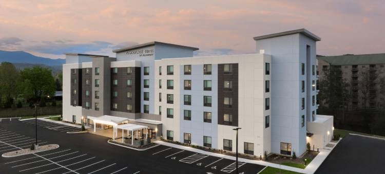 鸽子谷TownePlace Suites酒店(TownePlace Suites Pigeon Forge)图片