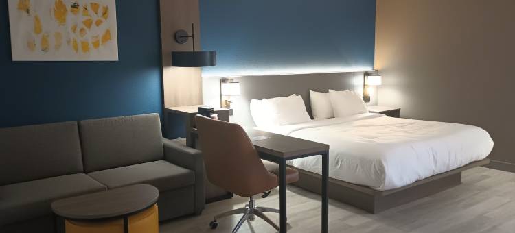 舒适套房酒店(Comfort Inn & Suites)图片