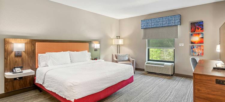 希尔顿欢朋套房酒店-奥兰多阿波普卡(Hampton Inn & Suites Orlando-Apopka)图片