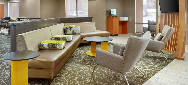 罗利-达拉姆机场/研究三角园区SpringHill Suites酒店(SpringHill Suites Raleigh-Durham Airport/Research Triangle Park)图片