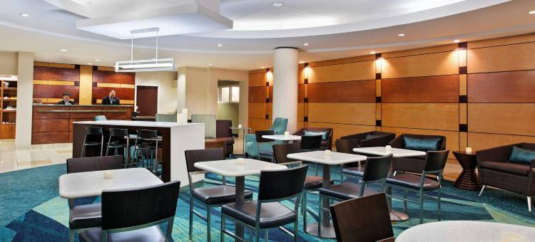 土耳其溪诺克斯维尔万豪SpringHill酒店(SpringHill Suites Knoxville at Turkey Creek)图片