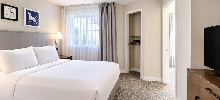索内斯塔ES套房-圣何塞机场(Sonesta ES Suites San Jose - Airport)图片
