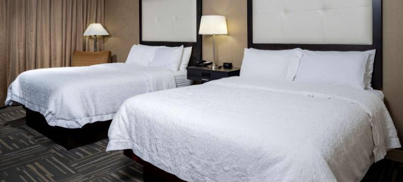 希尔顿欢朋酒店-哥伦比亚(Hampton Inn Columbia)图片