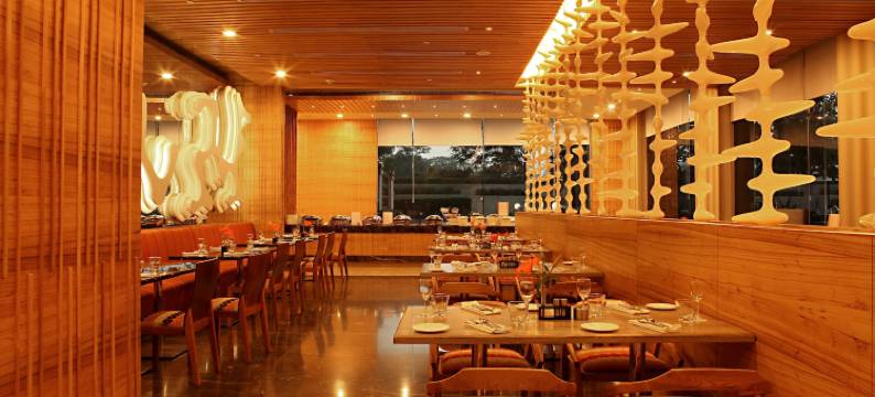 大都会酒店及水疗中心(The Metropolitan Hotel & Spa New Delhi)图片