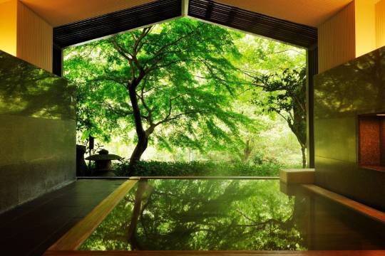 星野集團 界 箱根