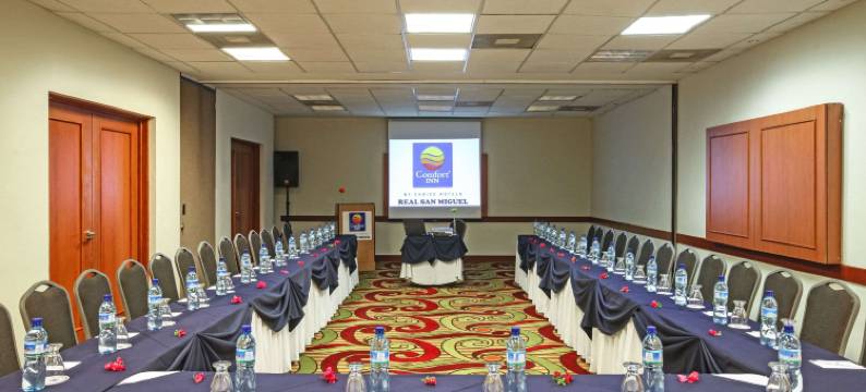 舒适酒店-雷阿尔圣米格尔(Comfort Inn Real San Miguel)图片