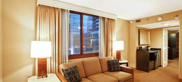 芝加哥市市区北岸希尔顿安泊酒店(Embassy Suites by Hilton Chicago Downtown River North)图片