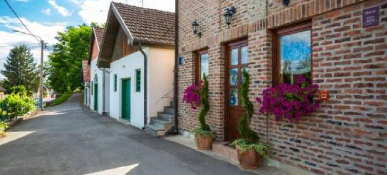 Podrumi Kolar "Suza Baranje"图片