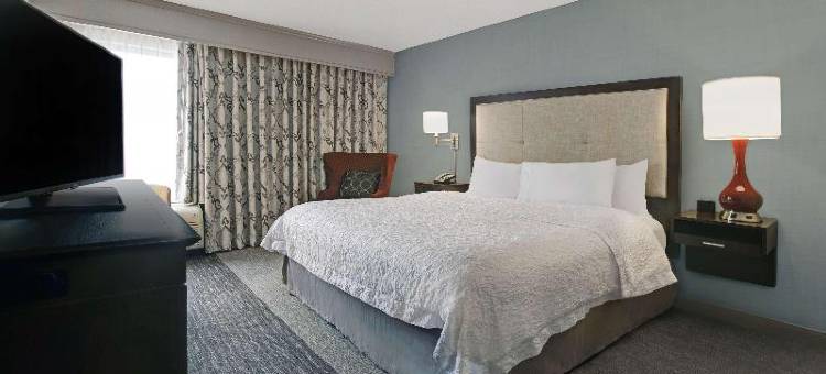 希尔顿欢朋酒店-格林维尔伍德拉夫路(Hampton Inn Greenville I-385 - Woodruff Road)图片