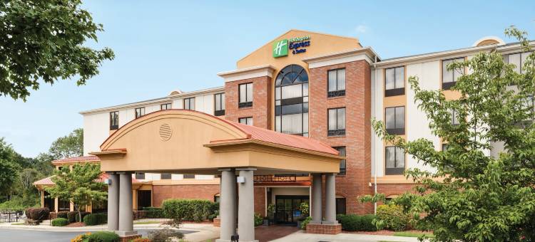 拉伏尼亚智选假日酒店(Holiday Inn Express & Suites LAVONIA by IHG)图片