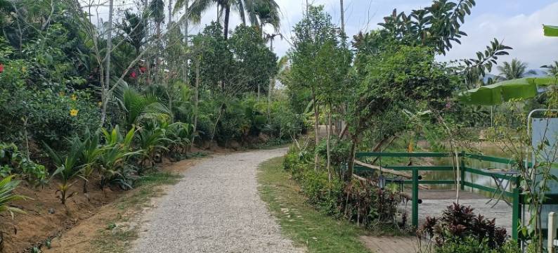 途家房东211212188674特色民宿图片