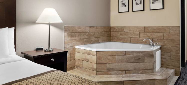 贝尔维尔机场区呗盟套房酒店(Baymont by Wyndham Belleville Airport Area)图片