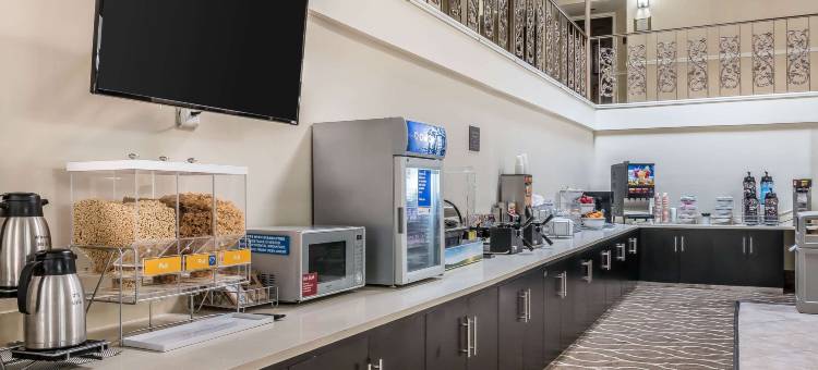 奥格尔索普套房酒店(Comfort Inn)图片