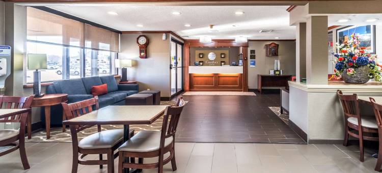 费斯特-南圣路易斯舒适酒店(Comfort Inn Festus-St Louis South)图片